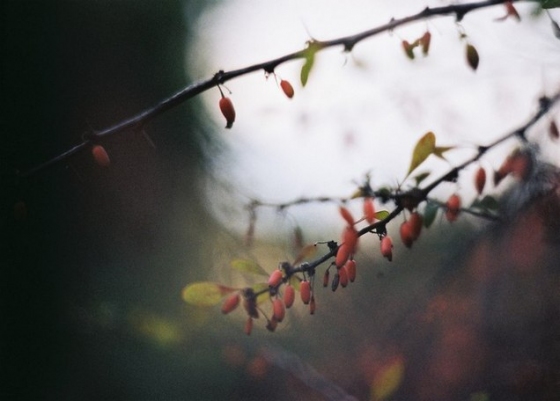 Открытка - Autumn life №1093