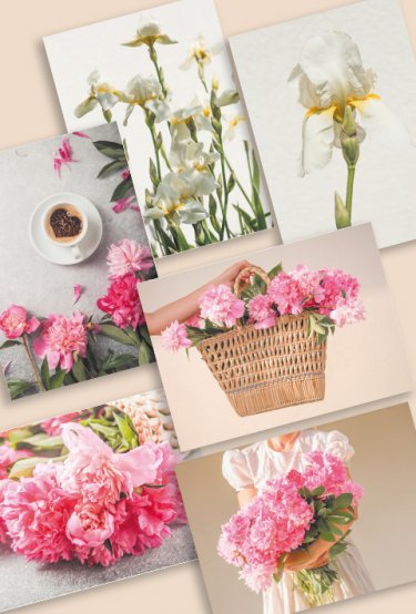 Набор открыток - Цветы (6 штук)