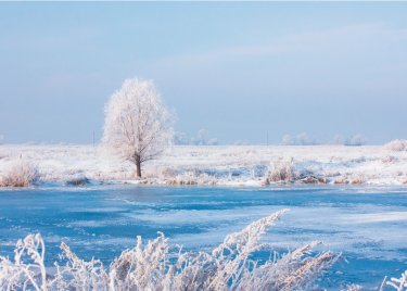 Открытка - Зима на озере №4016