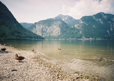 Открытка - Горное озеро в Австрии №4338