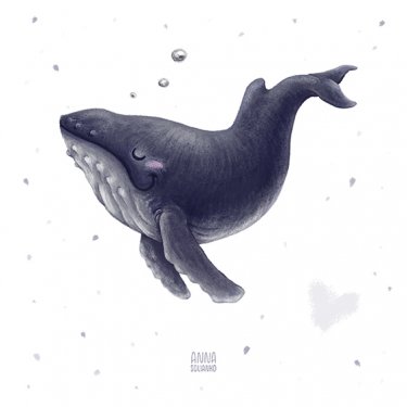 Открытка - Горбатый кит №4479