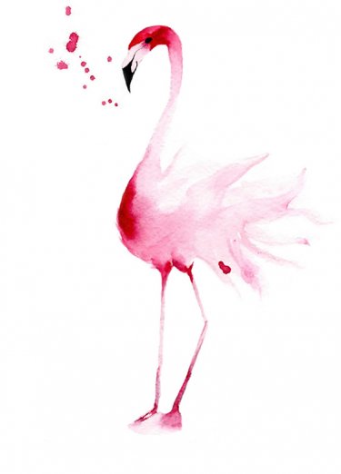 Открытка Cardsi - Flamingo №2558