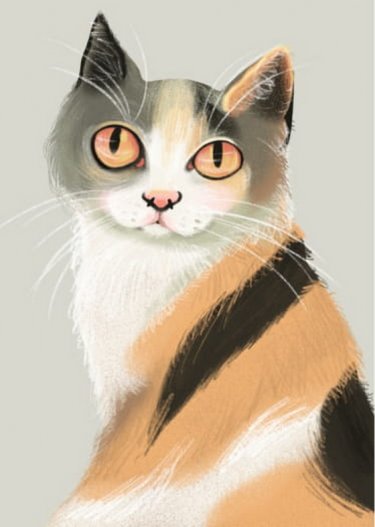 Открытка Cardsi - Кошка с желтыми глазами №3207